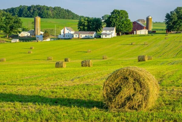 About Our Agency - Round Hay Bales on Slightly Rolling Hills in Amish Country