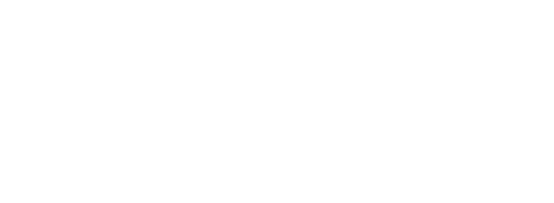 Lansing Insurance Agency - Logo 800 White