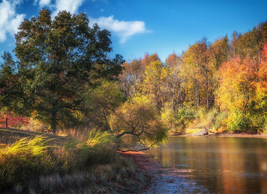 Waverly OH - Fall Leaves on Trees by the Water in Southern Ohio